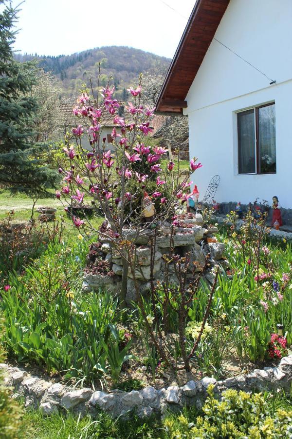 Casa Veverita Predelut Dış mekan fotoğraf