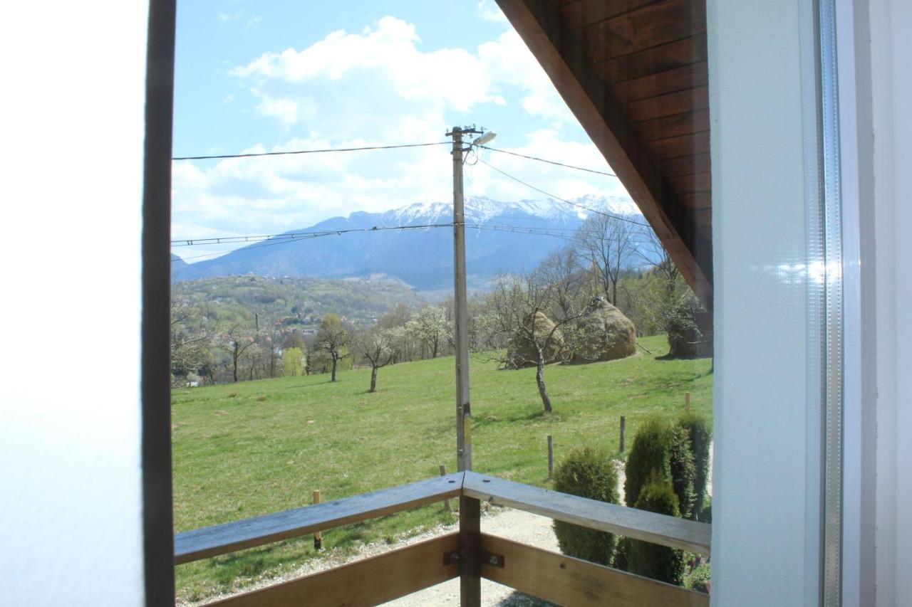 Casa Veverita Predelut Dış mekan fotoğraf