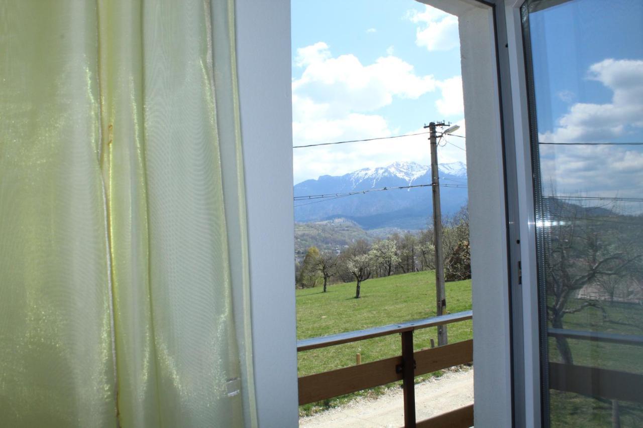 Casa Veverita Predelut Dış mekan fotoğraf